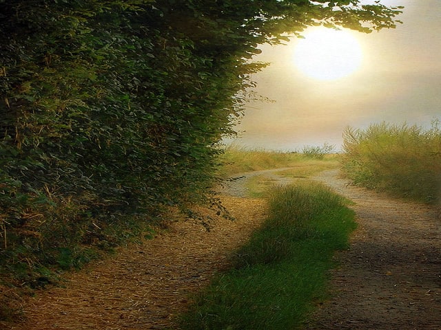 A photo of a path leading through a grassy field under a balmy sky.