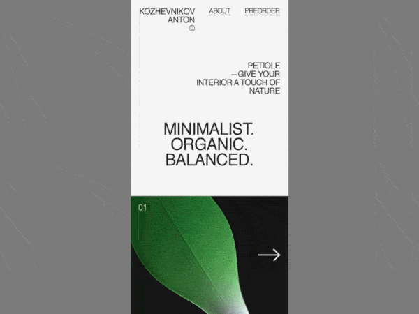 An image of the Petiole Vase app concept, top mobile interaction design of Spring 2019