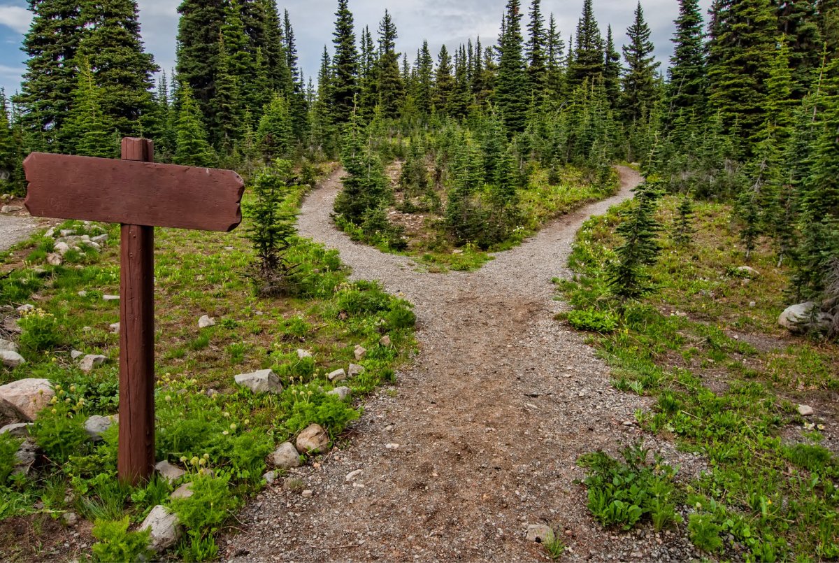 A fork in a trail with a wooden sign. 